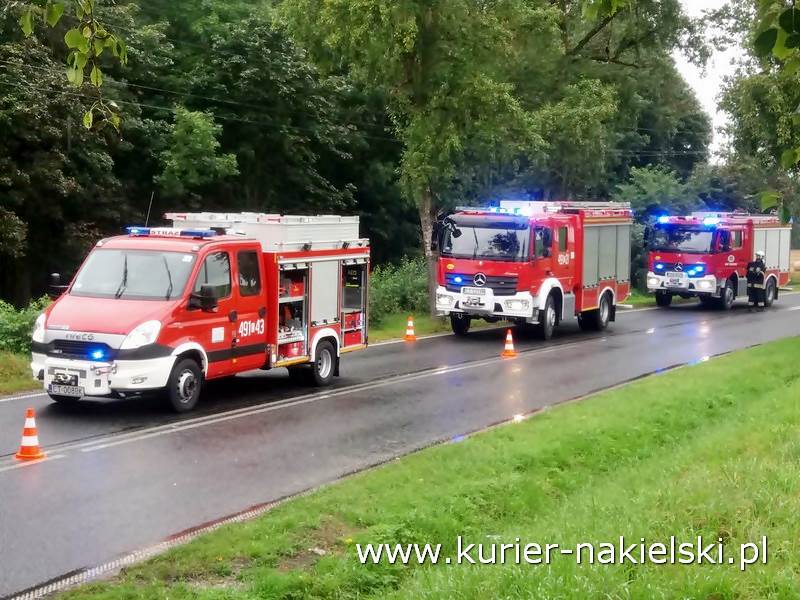 Śmiertelny wypadek pod Wieszkami [Ustalenia Policji]