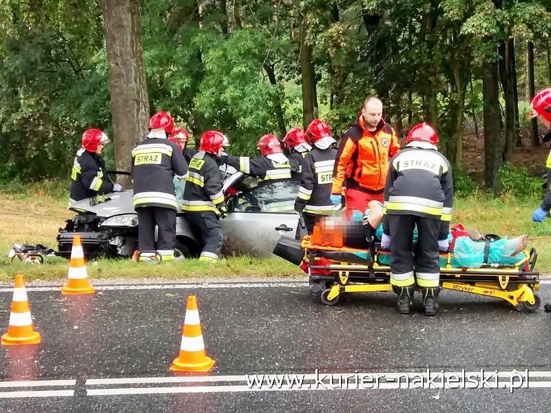 Śmiertelny wypadek pod Wieszkami [Ustalenia Policji]