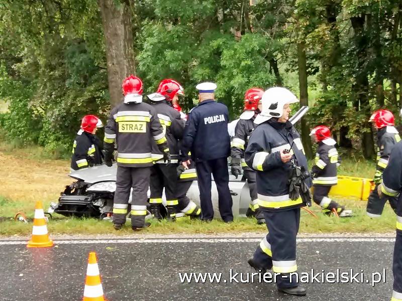 Śmiertelny wypadek pod Wieszkami [Ustalenia Policji]