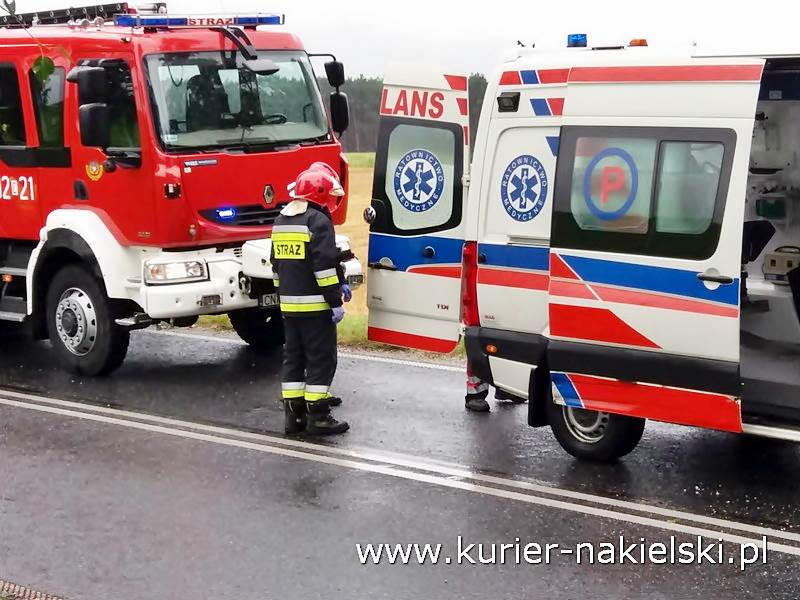 Śmiertelny wypadek pod Wieszkami [Ustalenia Policji]