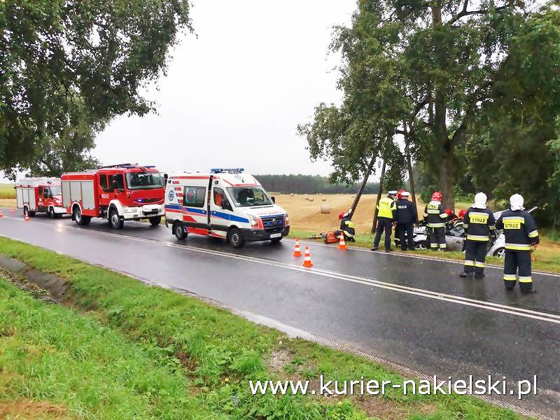 Śmiertelny wypadek pod Wieszkami [Ustalenia Policji]
