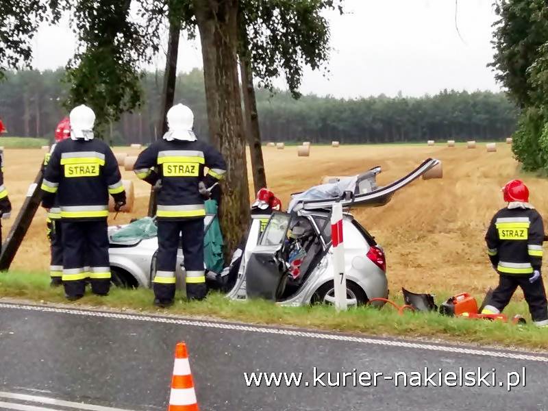 Śmiertelny wypadek pod Wieszkami [Ustalenia Policji]