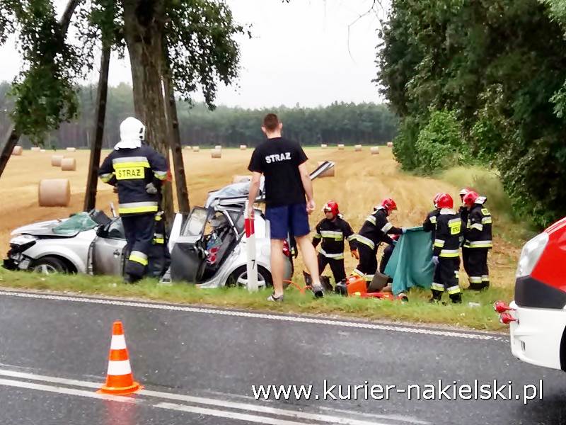 Śmiertelny wypadek pod Wieszkami [Ustalenia Policji]