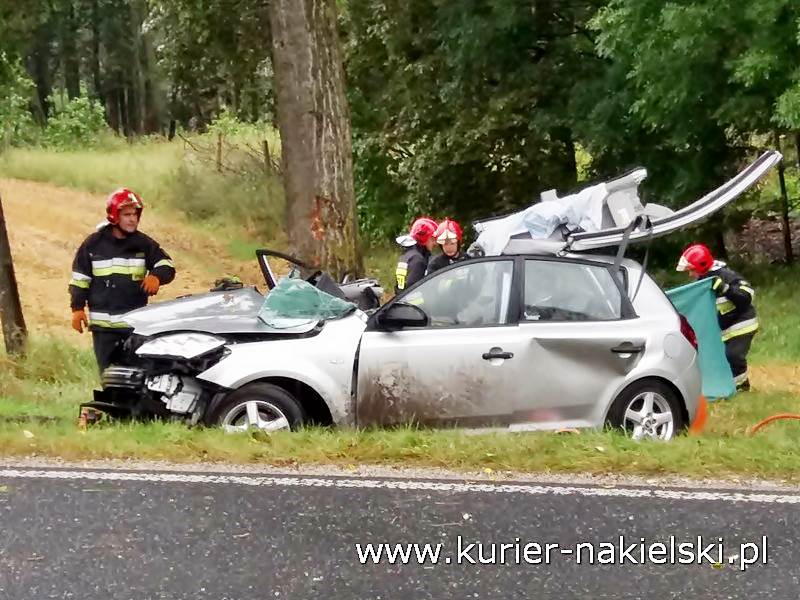 Śmiertelny wypadek pod Wieszkami [Ustalenia Policji]