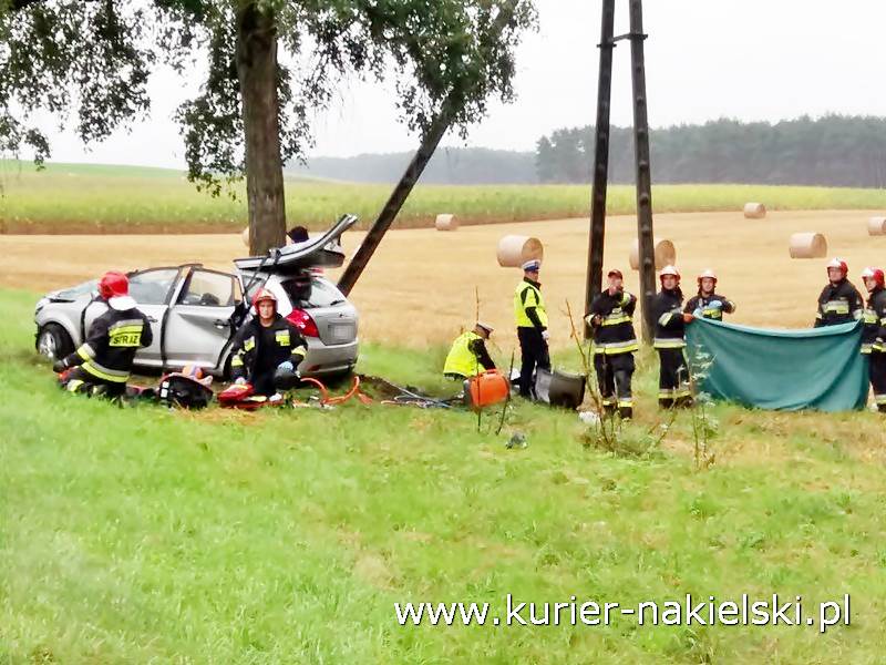 Śmiertelny wypadek pod Wieszkami [Ustalenia Policji]
