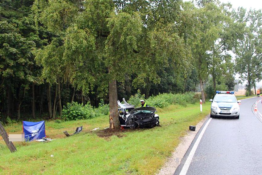 Śmiertelny wypadek pod Wieszkami [Ustalenia Policji]