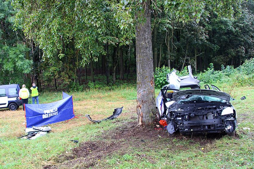 Śmiertelny wypadek pod Wieszkami [Ustalenia Policji]