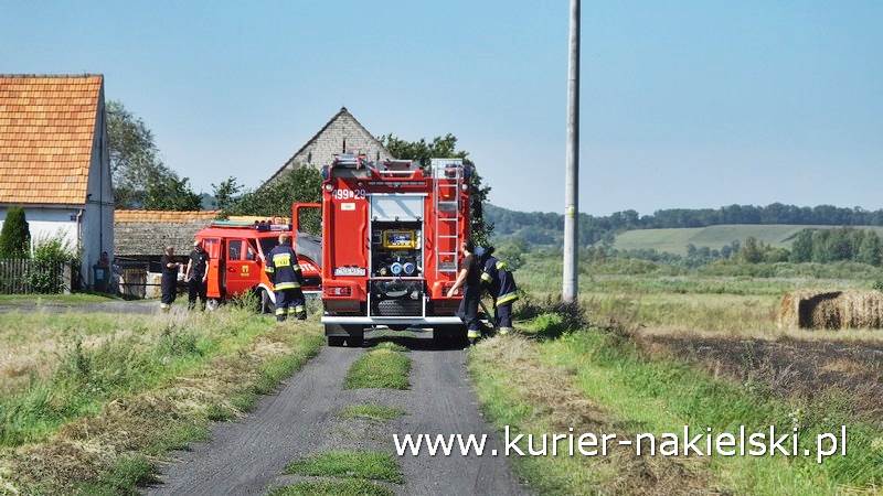 Pożar ścierniska w Polichnie