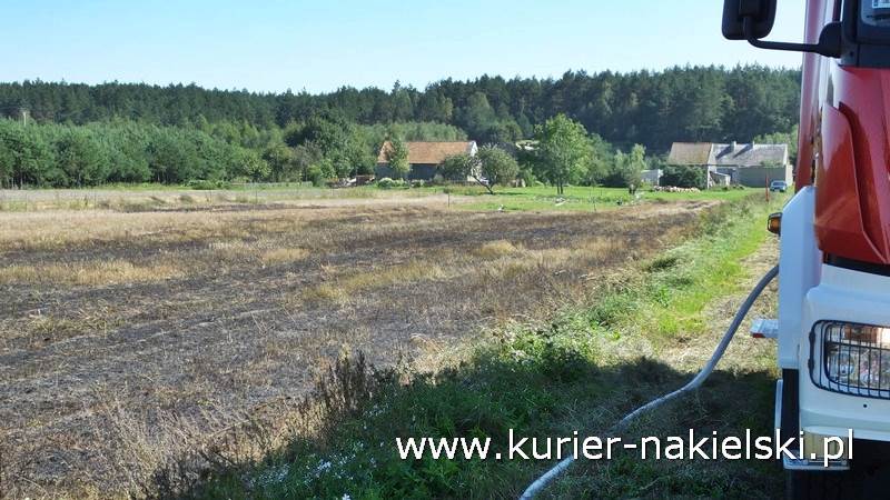 Pożar ścierniska w Polichnie