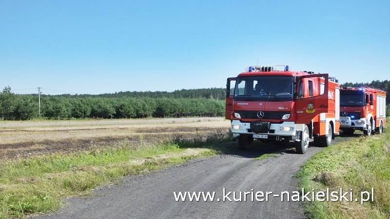 Pożar ścierniska w Polichnie