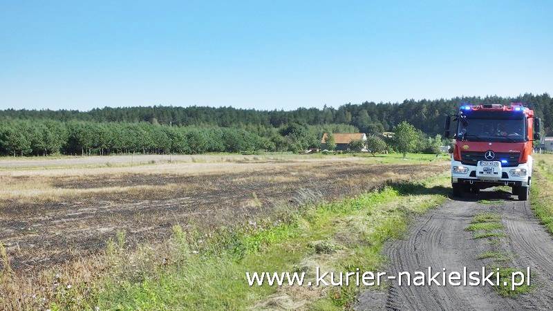 Pożar ścierniska w Polichnie