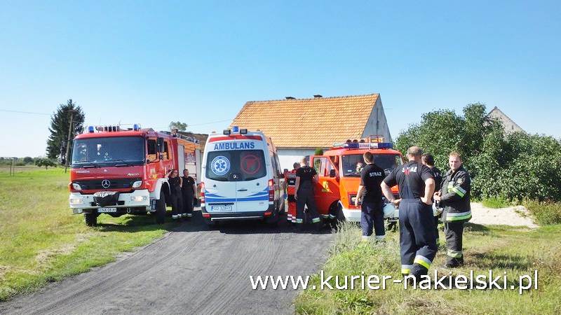 Pożar ścierniska w Polichnie