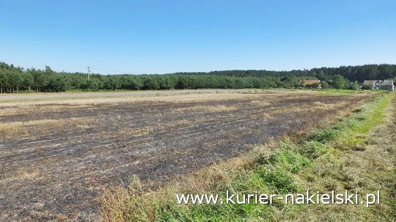 Pożar ścierniska w Polichnie