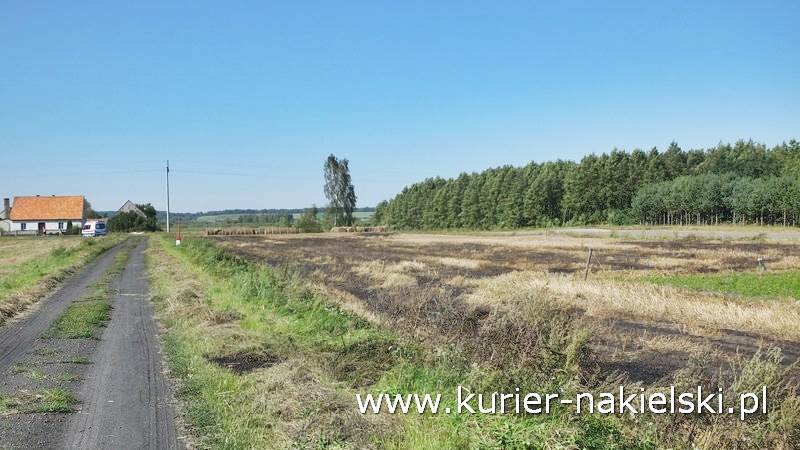 Pożar ścierniska w Polichnie