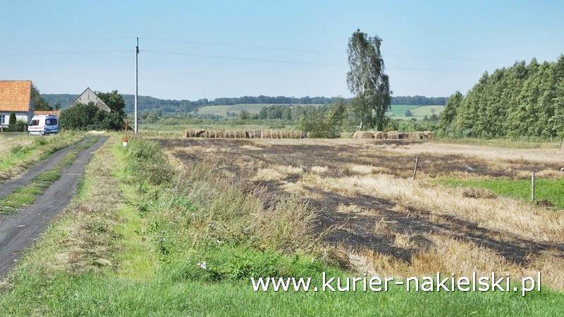 Pożar ścierniska w Polichnie