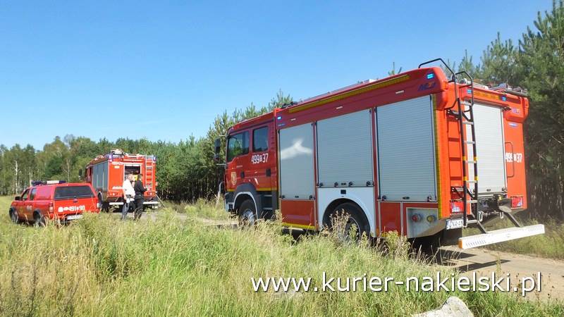 Pożar poszycia leśnego w Rozwarzynie