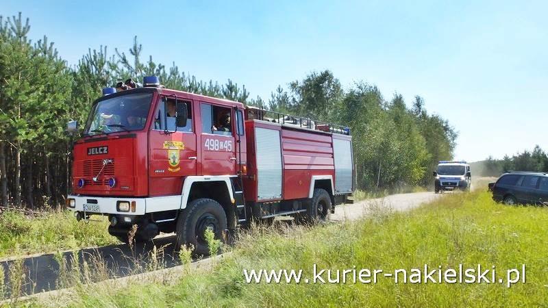 Pożar poszycia leśnego w Rozwarzynie