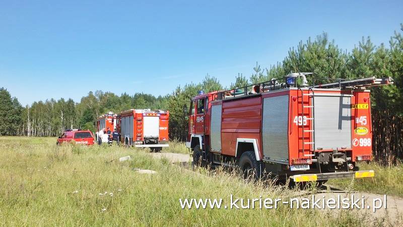 Pożar poszycia leśnego w Rozwarzynie