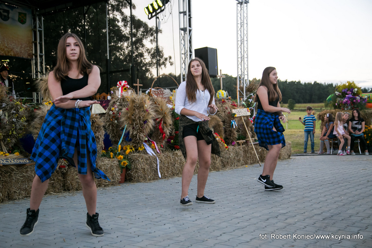 Powiatowo-Gminne Dożynki odbyły się w Iwnie