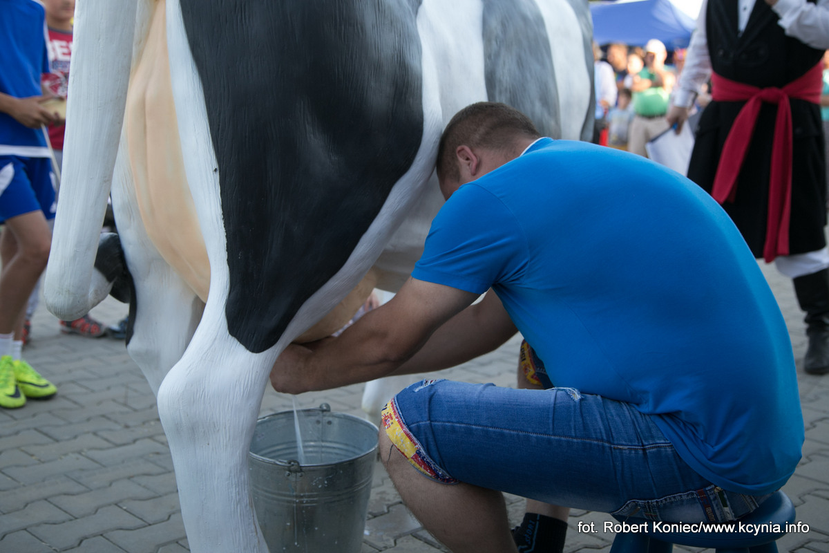 Powiatowo-Gminne Dożynki odbyły się w Iwnie