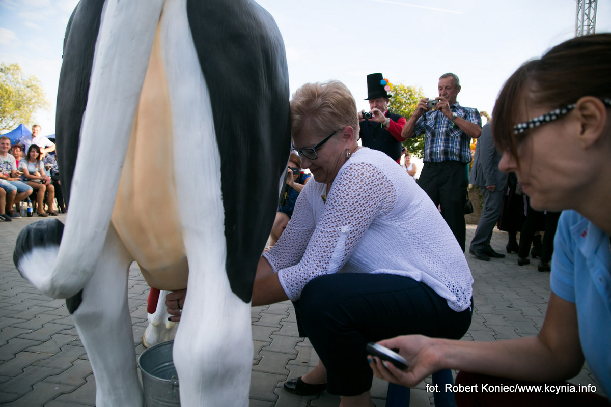 Powiatowo-Gminne Dożynki odbyły się w Iwnie