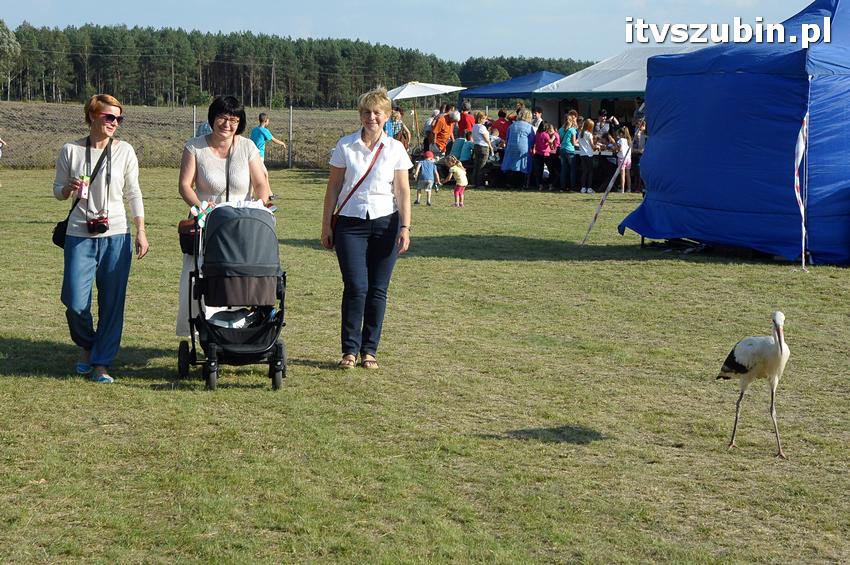 Święto Twórczych Brzózek