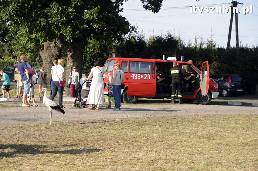 Święto Twórczych Brzózek