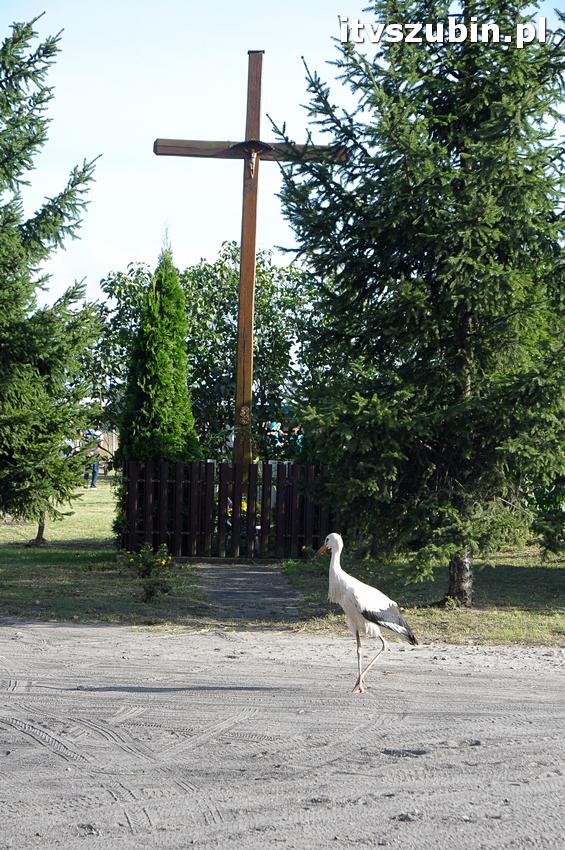 Święto Twórczych Brzózek