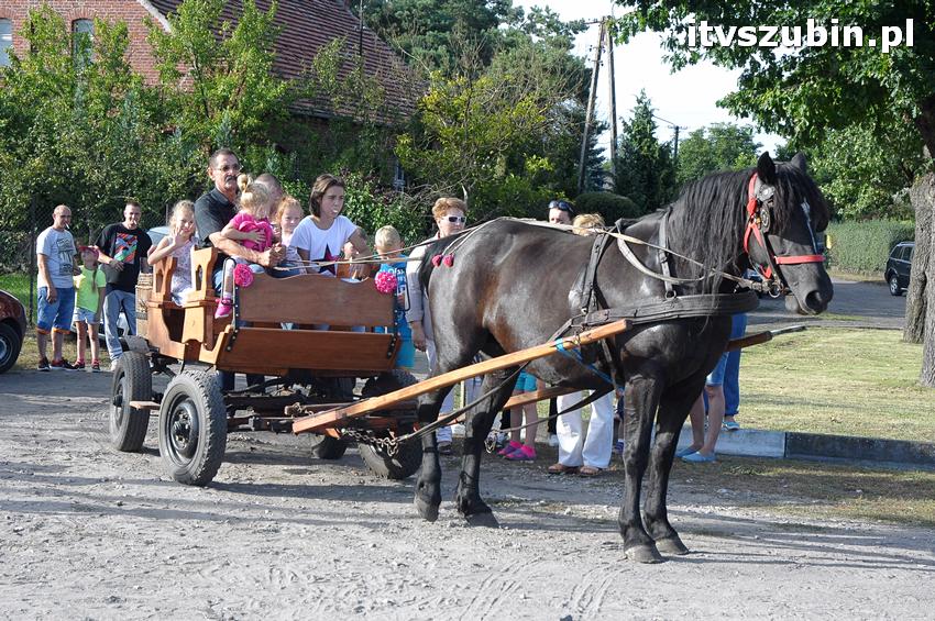 Święto Twórczych Brzózek