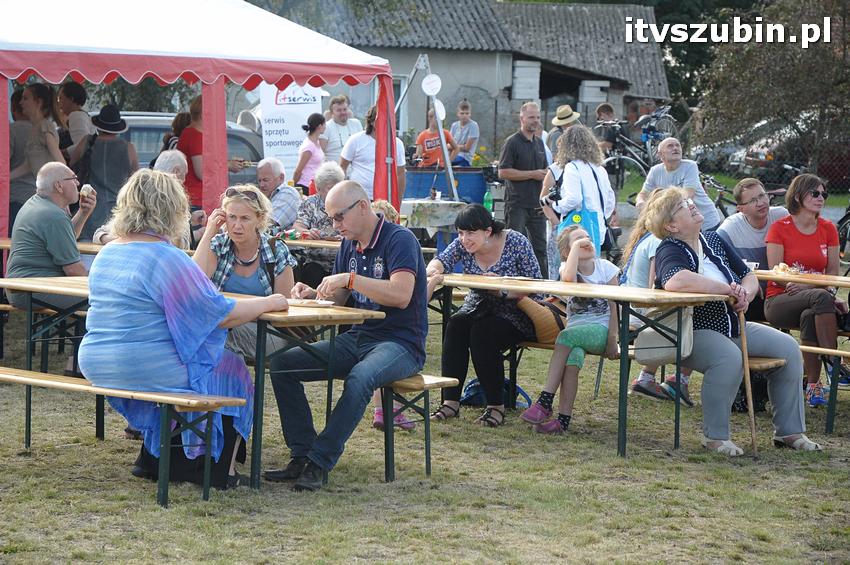 Święto Twórczych Brzózek