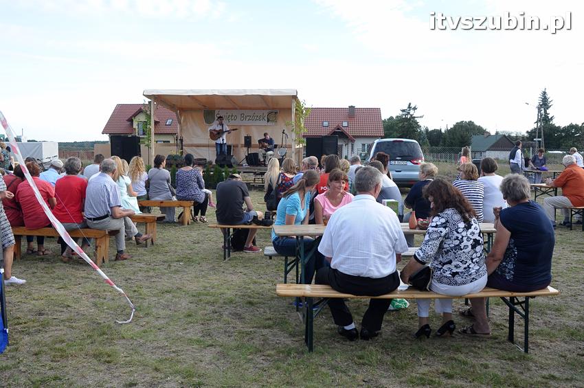 Święto Twórczych Brzózek