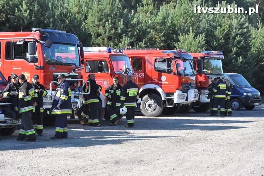 Ćwiczenia taktyczne na terenie leśnictwa Gąbin