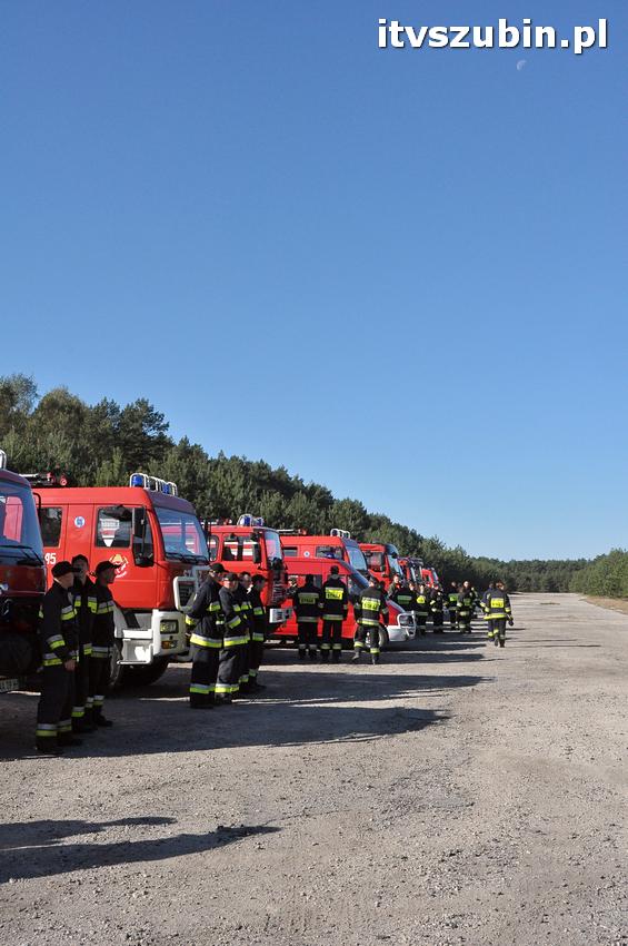 Ćwiczenia taktyczne na terenie leśnictwa Gąbin