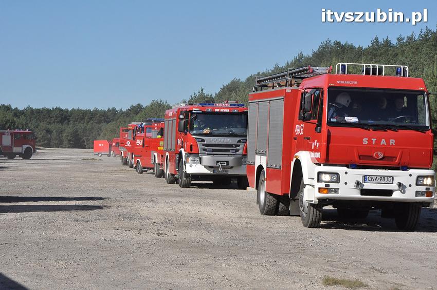 Ćwiczenia taktyczne na terenie leśnictwa Gąbin