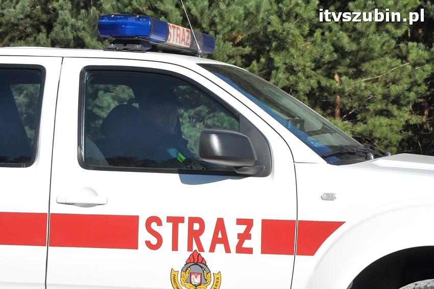 Ćwiczenia taktyczne na terenie leśnictwa Gąbin