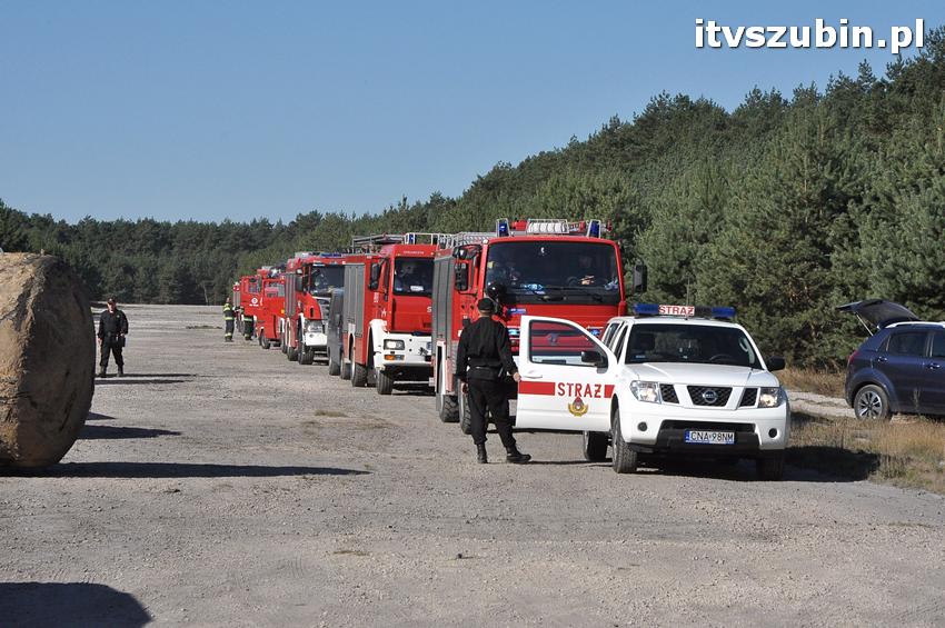 Ćwiczenia taktyczne na terenie leśnictwa Gąbin
