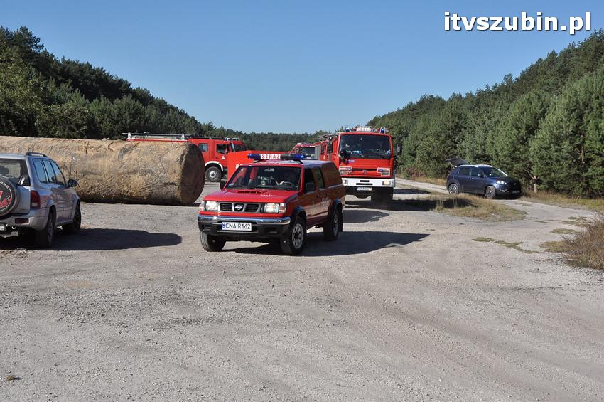 Ćwiczenia taktyczne na terenie leśnictwa Gąbin