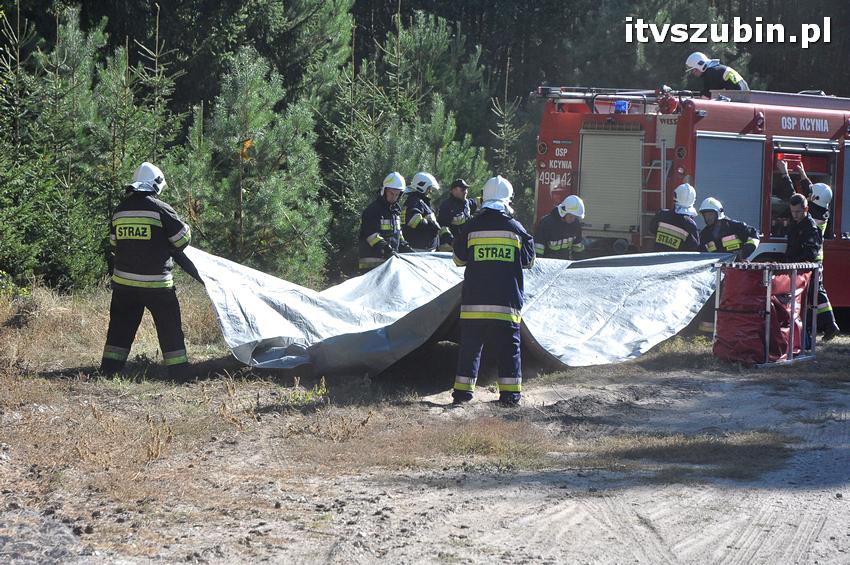Ćwiczenia taktyczne na terenie leśnictwa Gąbin