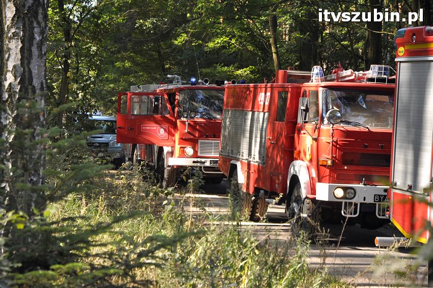 Ćwiczenia taktyczne na terenie leśnictwa Gąbin