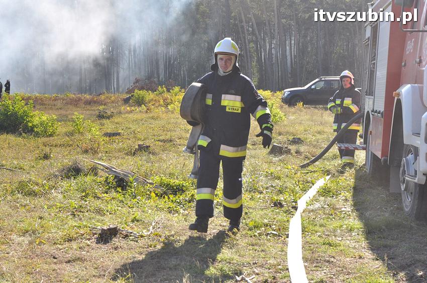 Ćwiczenia taktyczne na terenie leśnictwa Gąbin