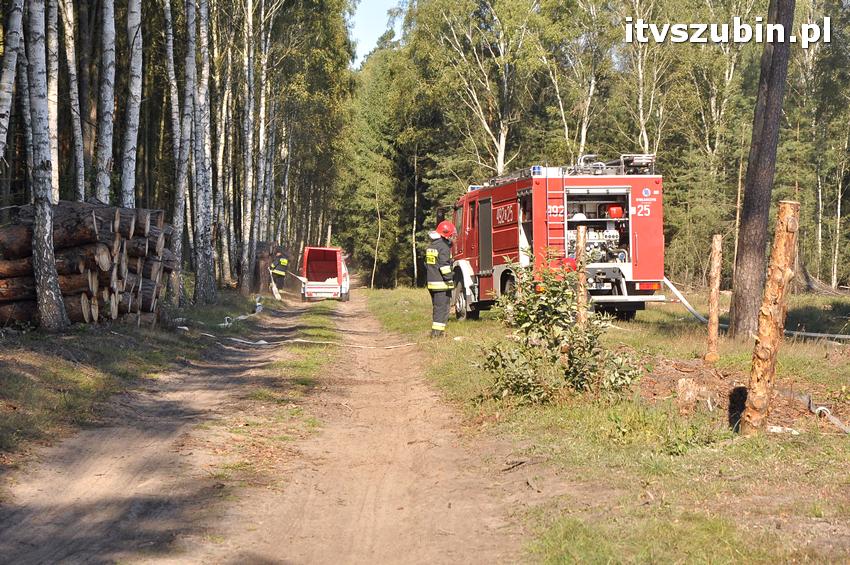 Ćwiczenia taktyczne na terenie leśnictwa Gąbin