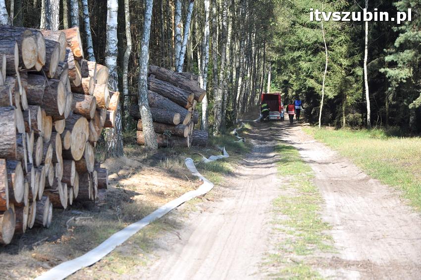 Ćwiczenia taktyczne na terenie leśnictwa Gąbin