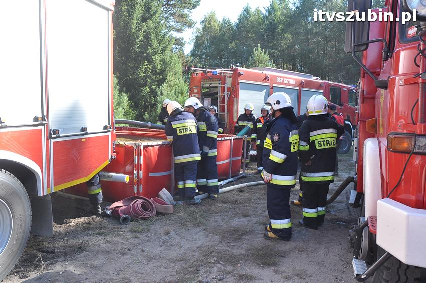Ćwiczenia taktyczne na terenie leśnictwa Gąbin