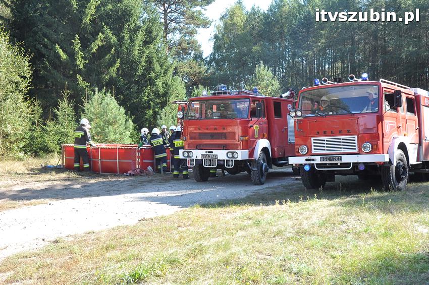 Ćwiczenia taktyczne na terenie leśnictwa Gąbin