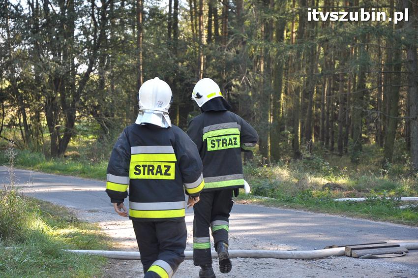 Ćwiczenia taktyczne na terenie leśnictwa Gąbin
