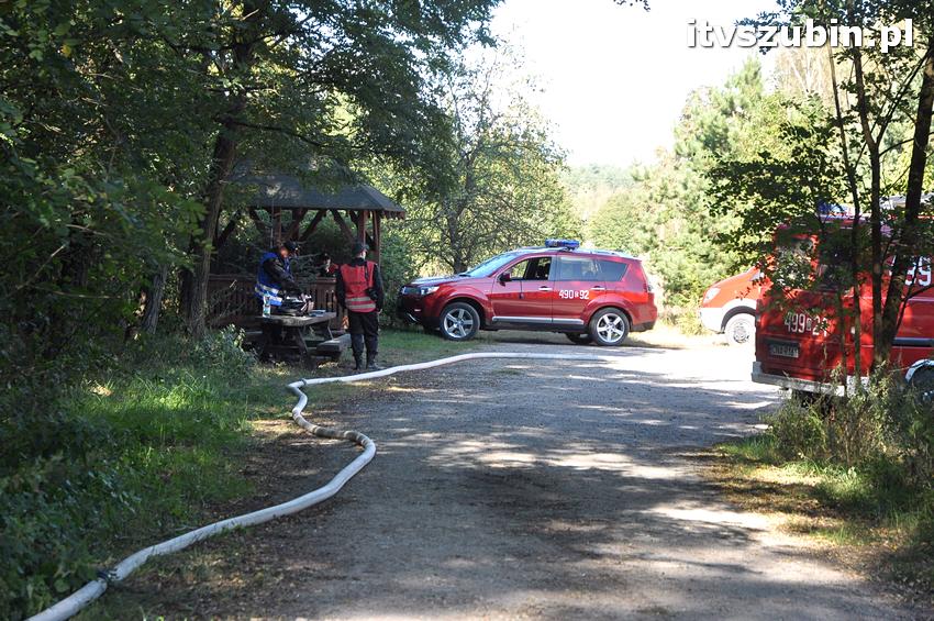 Ćwiczenia taktyczne na terenie leśnictwa Gąbin