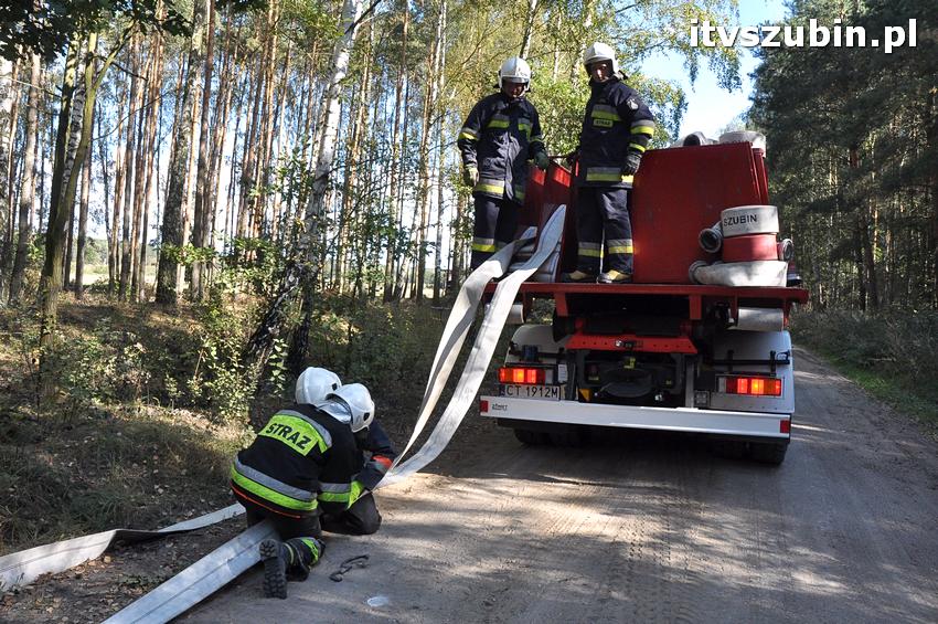 Ćwiczenia taktyczne na terenie leśnictwa Gąbin