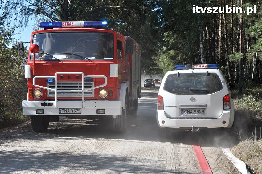 Ćwiczenia taktyczne na terenie leśnictwa Gąbin