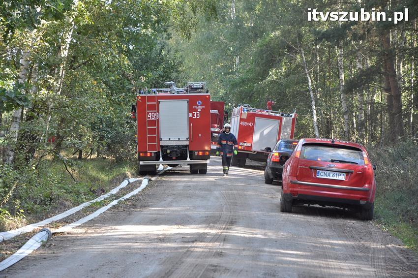 Ćwiczenia taktyczne na terenie leśnictwa Gąbin