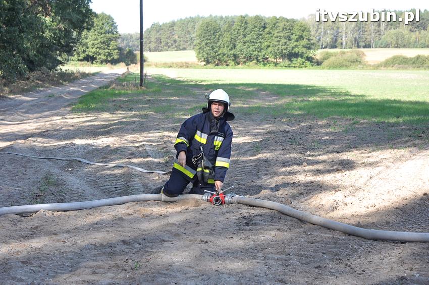 Ćwiczenia taktyczne na terenie leśnictwa Gąbin